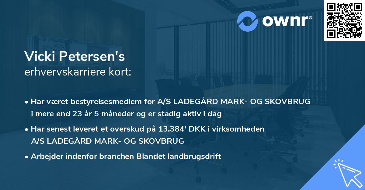 Vicki Petersen's erhvervskarriere kort
