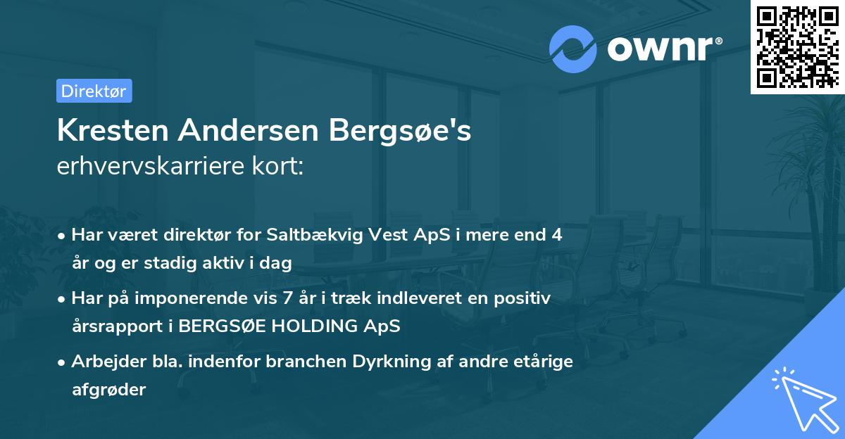 Kresten Andersen Bergsøe's erhvervskarriere kort