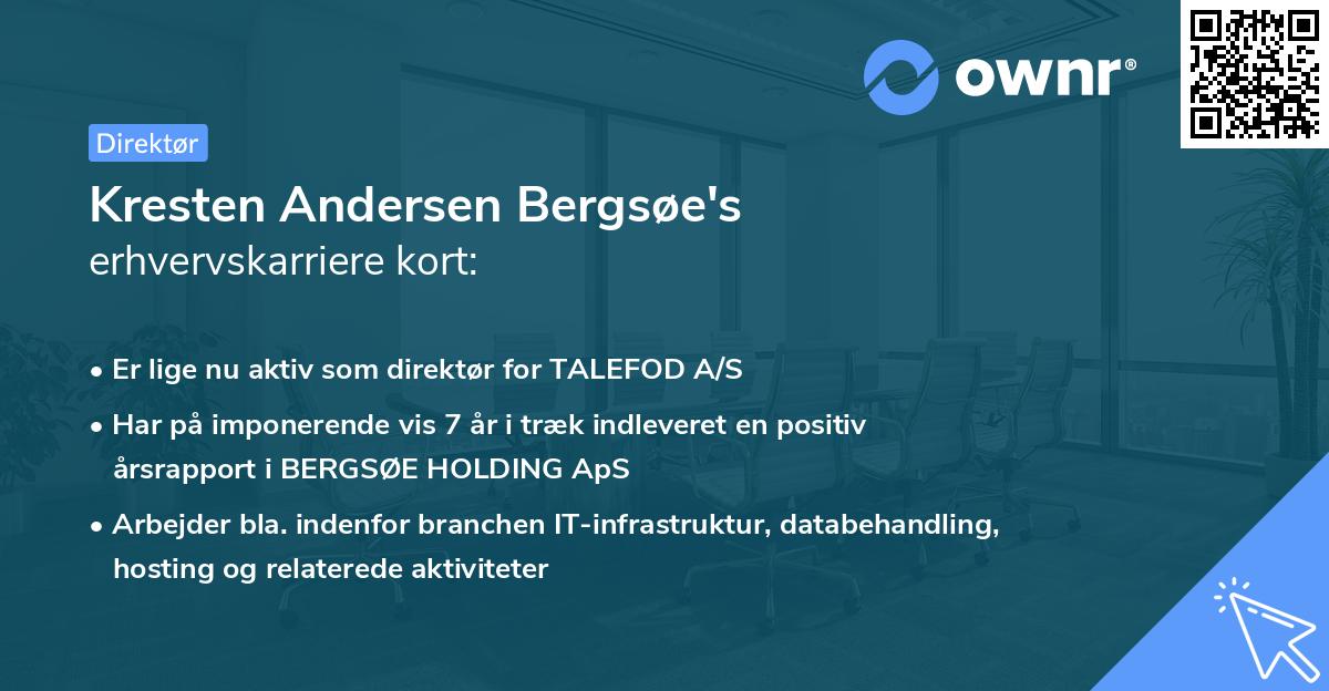 Kresten Andersen Bergsøe's erhvervskarriere kort