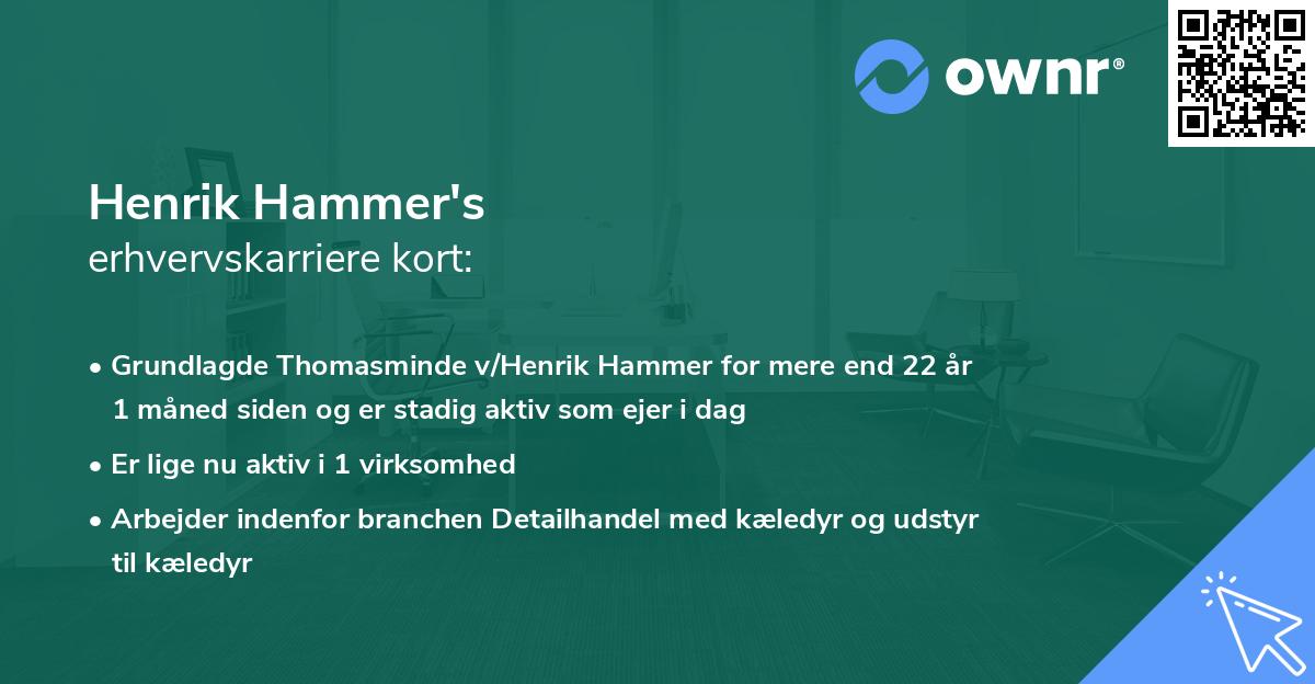 Henrik Hammer's erhvervskarriere kort