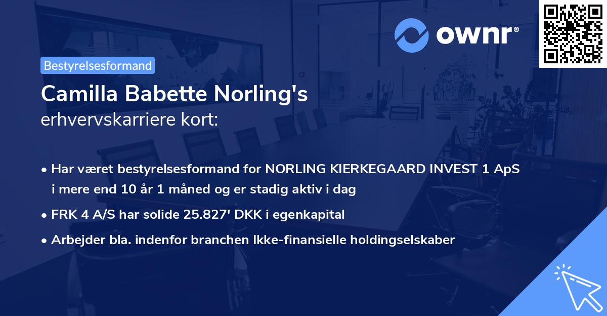 Camilla Babette Norling's erhvervskarriere kort