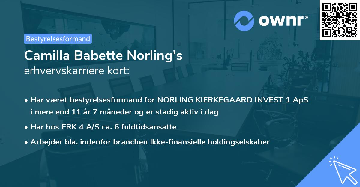 Camilla Babette Norling's erhvervskarriere kort