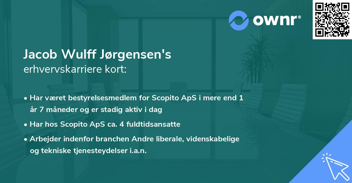 Jacob Wulff Jørgensen's erhvervskarriere kort