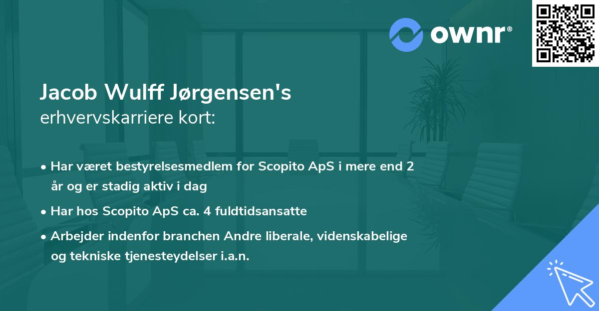 Jacob Wulff Jørgensen's erhvervskarriere kort