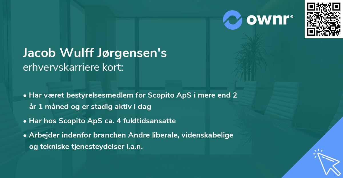 Jacob Wulff Jørgensen's erhvervskarriere kort