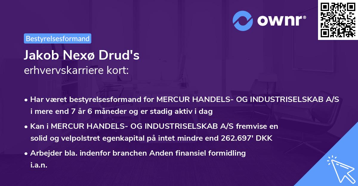 Jakob Nexø Drud's erhvervskarriere kort