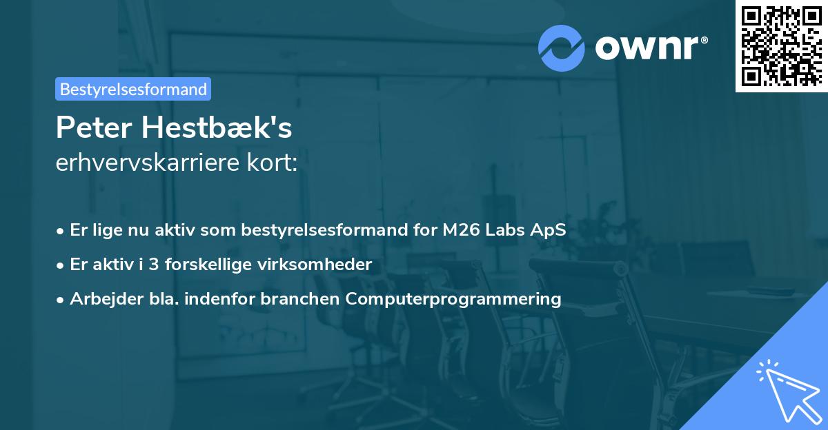 Peter Hestbæk's erhvervskarriere kort