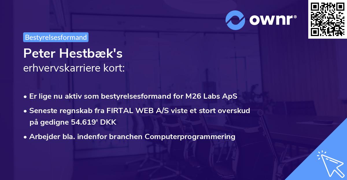 Peter Hestbæk's erhvervskarriere kort