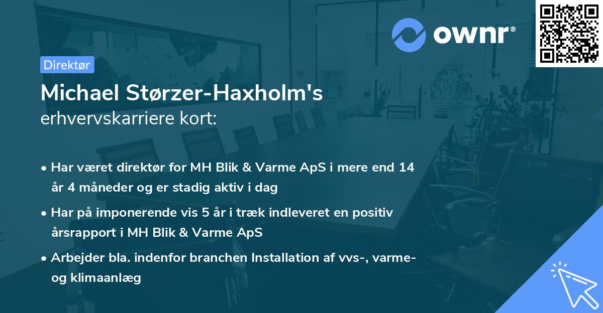 Michael Størzer-Haxholm's erhvervskarriere kort
