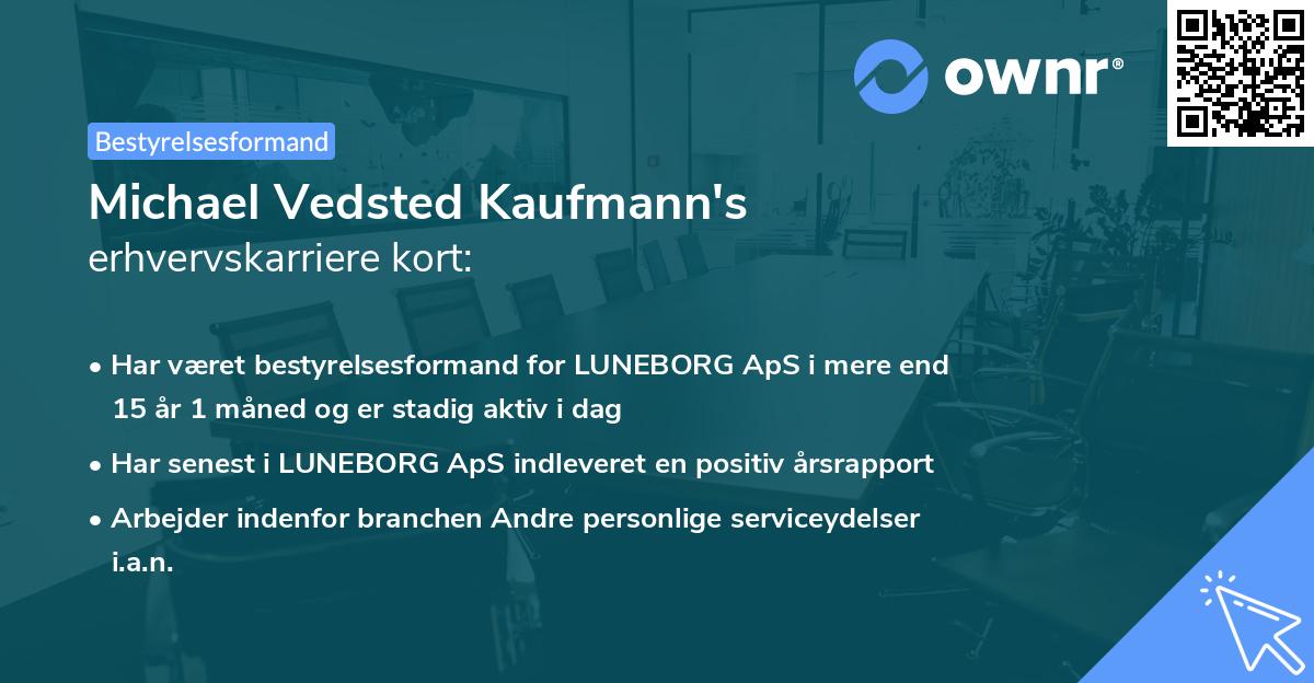 Michael Vedsted Kaufmann's erhvervskarriere kort