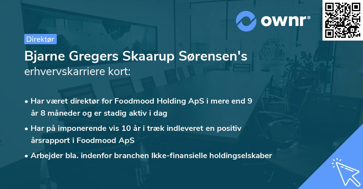 Bjarne Gregers Skaarup Sørensen's erhvervskarriere kort