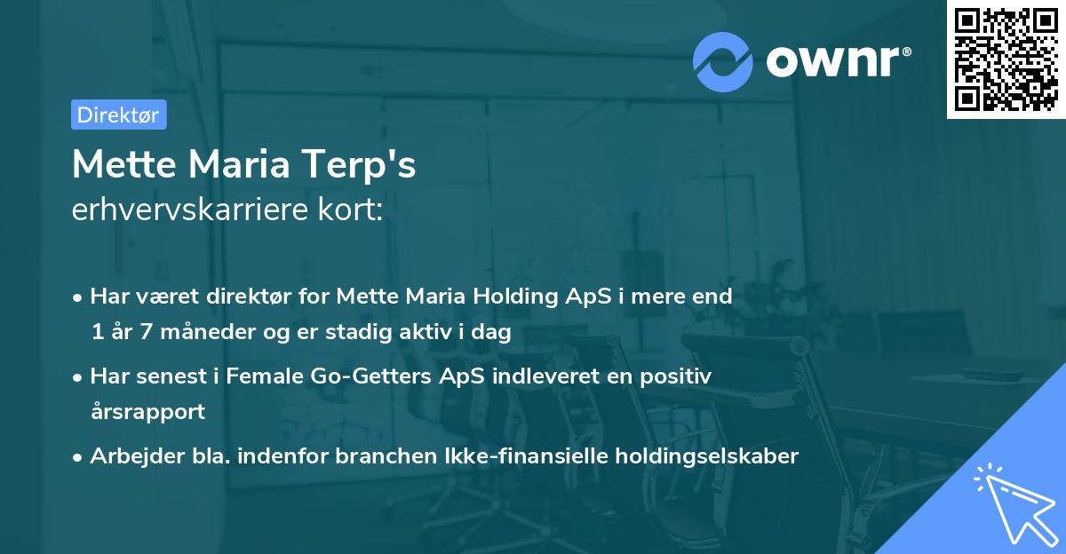Mette Maria Terp's erhvervskarriere kort