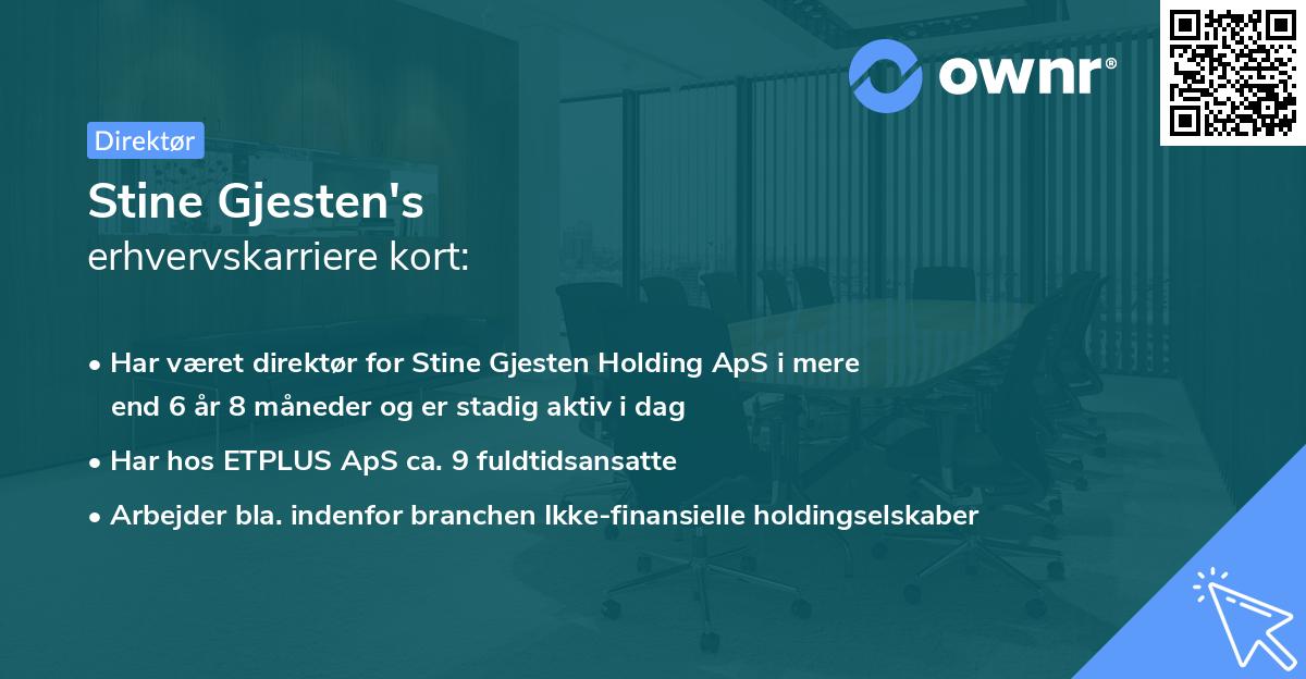 Stine Gjesten's erhvervskarriere kort