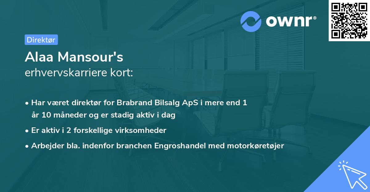 Alaa Mansour's erhvervskarriere kort