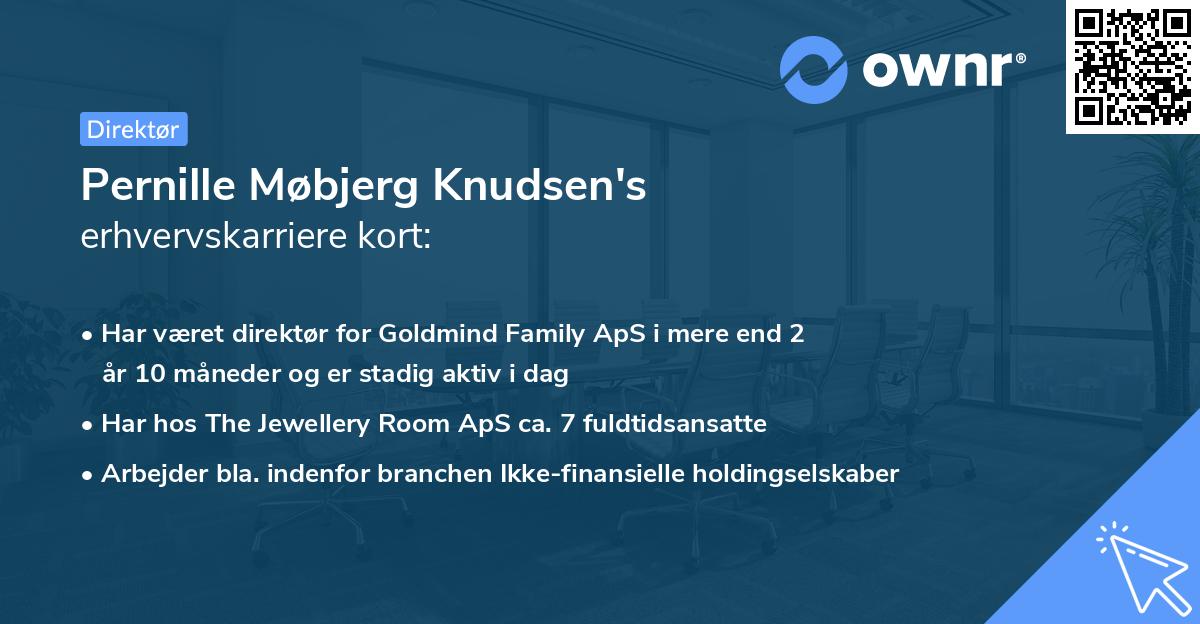 Pernille Møbjerg Knudsen's erhvervskarriere kort