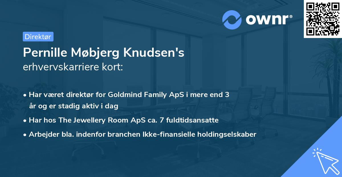 Pernille Møbjerg Knudsen's erhvervskarriere kort
