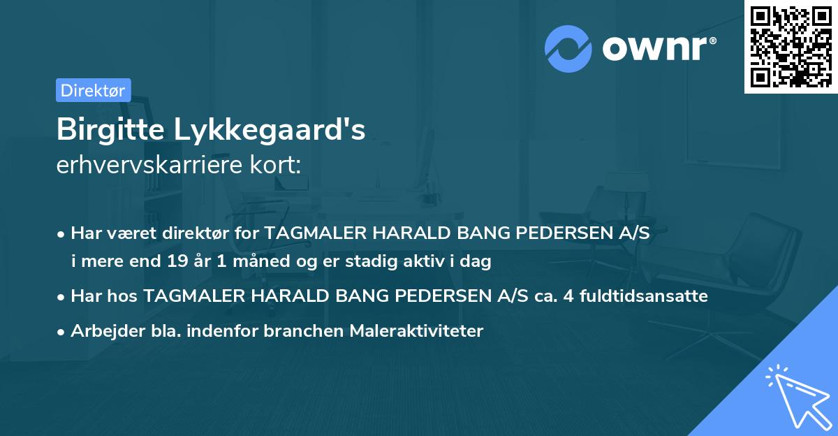 Birgitte Lykkegaard's erhvervskarriere kort