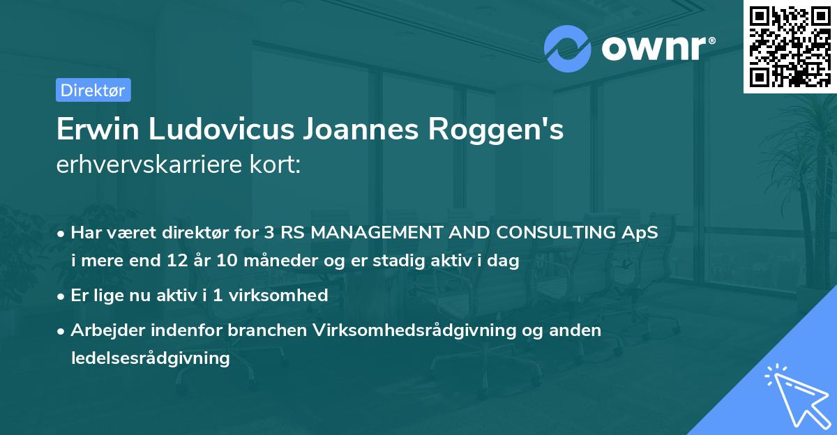 Erwin Ludovicus Joannes Roggen's erhvervskarriere kort