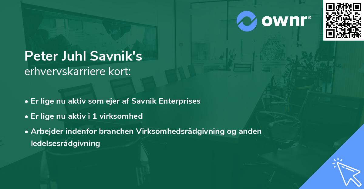 Peter Juhl Savnik's erhvervskarriere kort