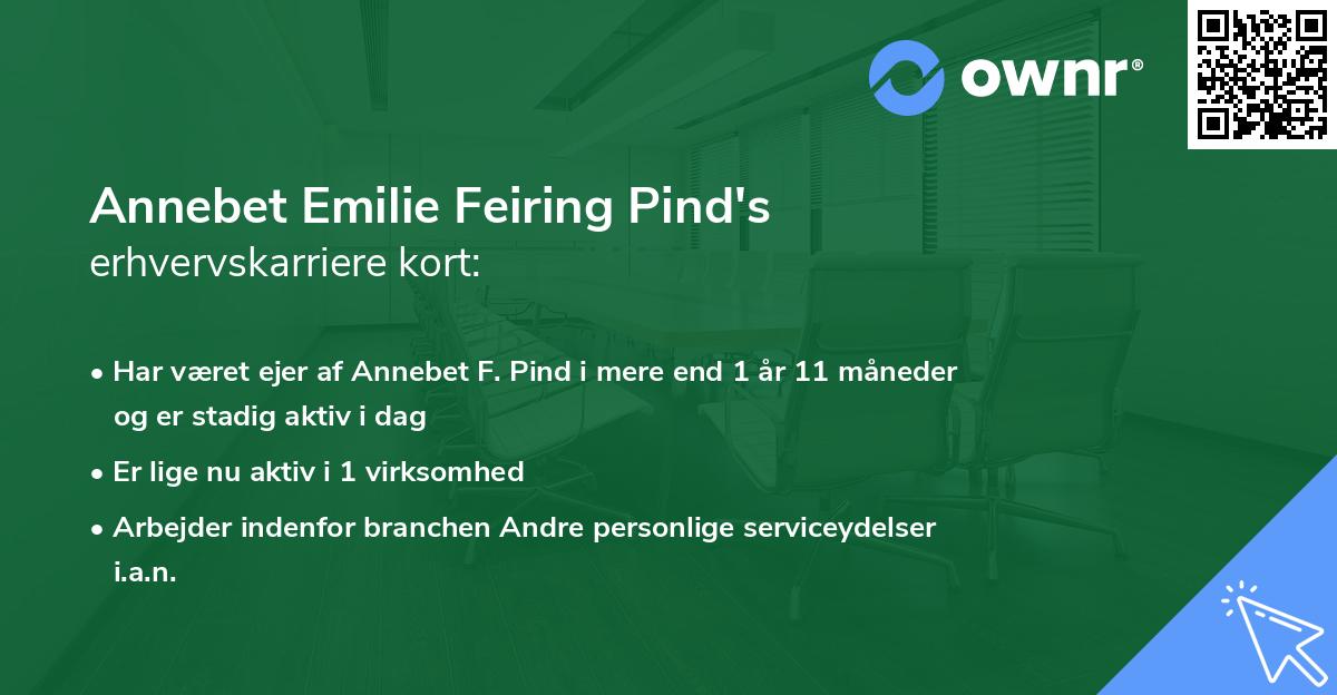 Annebet Emilie Feiring Pind's erhvervskarriere kort