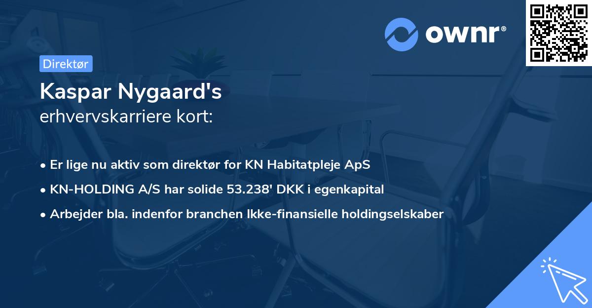 Kaspar Nygaard's erhvervskarriere kort