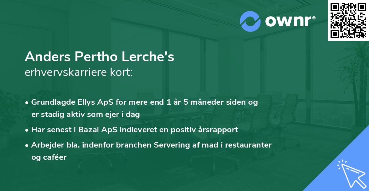 Anders Pertho Lerche's erhvervskarriere kort