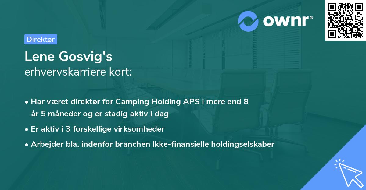 Lene Gosvig's erhvervskarriere kort