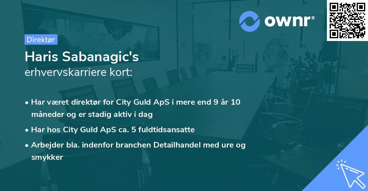 Haris Sabanagic's erhvervskarriere kort