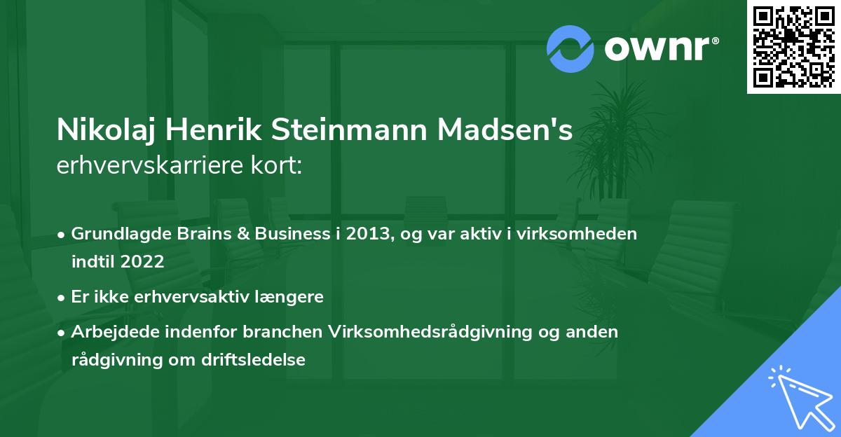 Nikolaj Henrik Steinmann Madsen's erhvervskarriere kort