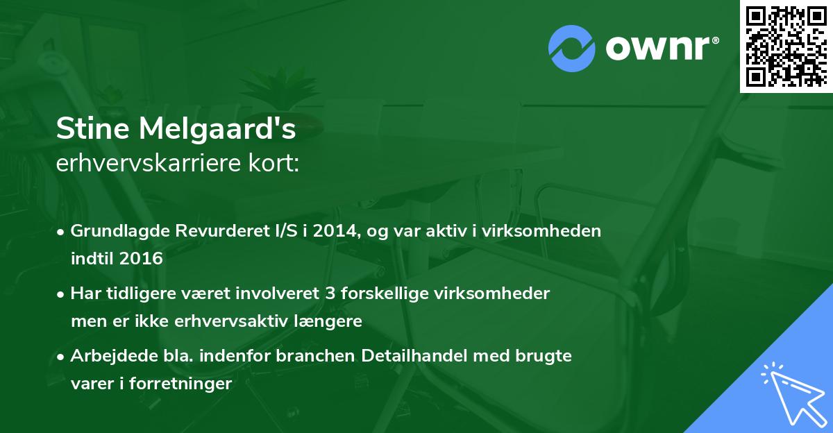 Stine Melgaard's erhvervskarriere kort
