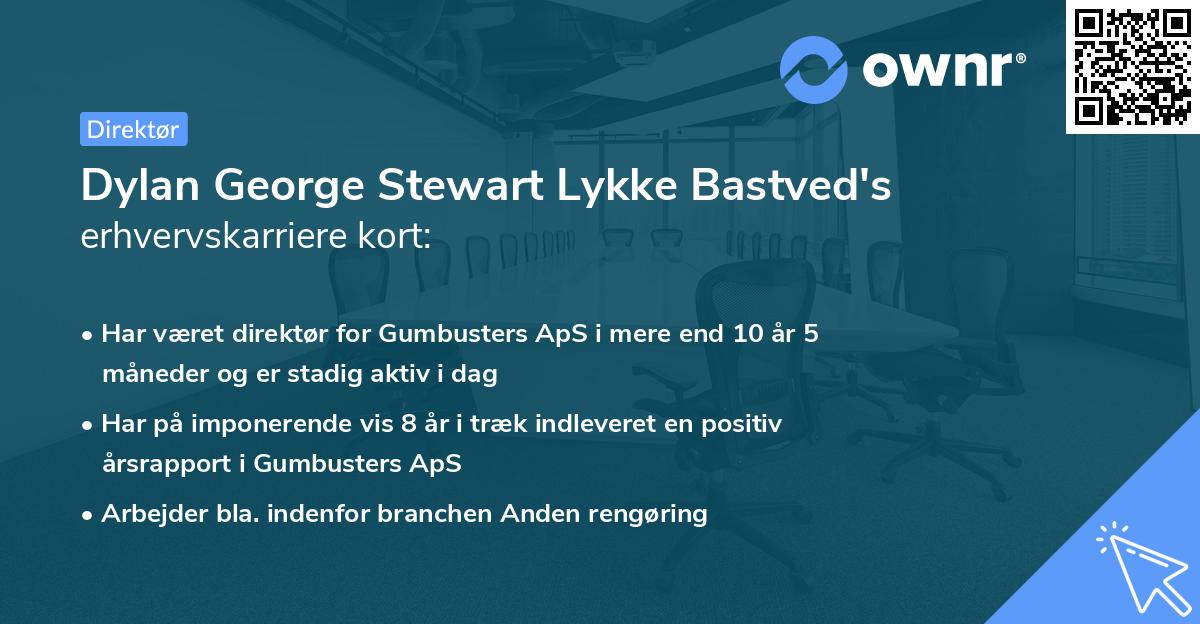 Dylan George Stewart Lykke Bastved's erhvervskarriere kort