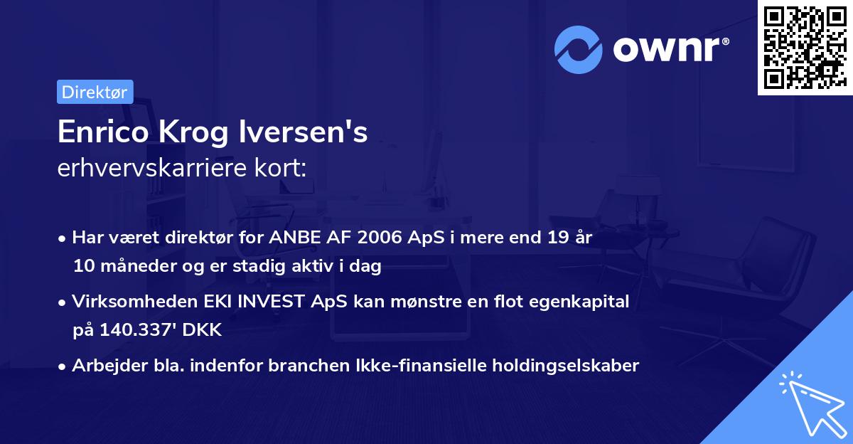 Enrico Krog Iversen's erhvervskarriere kort