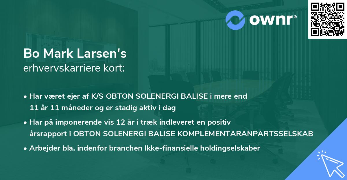Bo Mark Larsen's erhvervskarriere kort