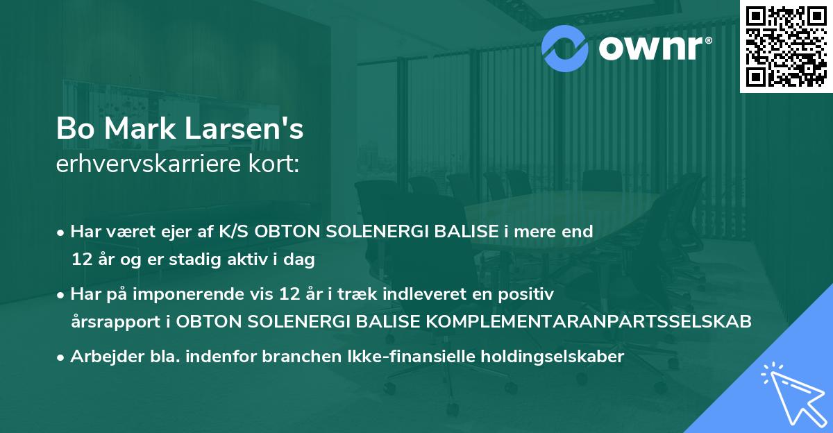 Bo Mark Larsen's erhvervskarriere kort