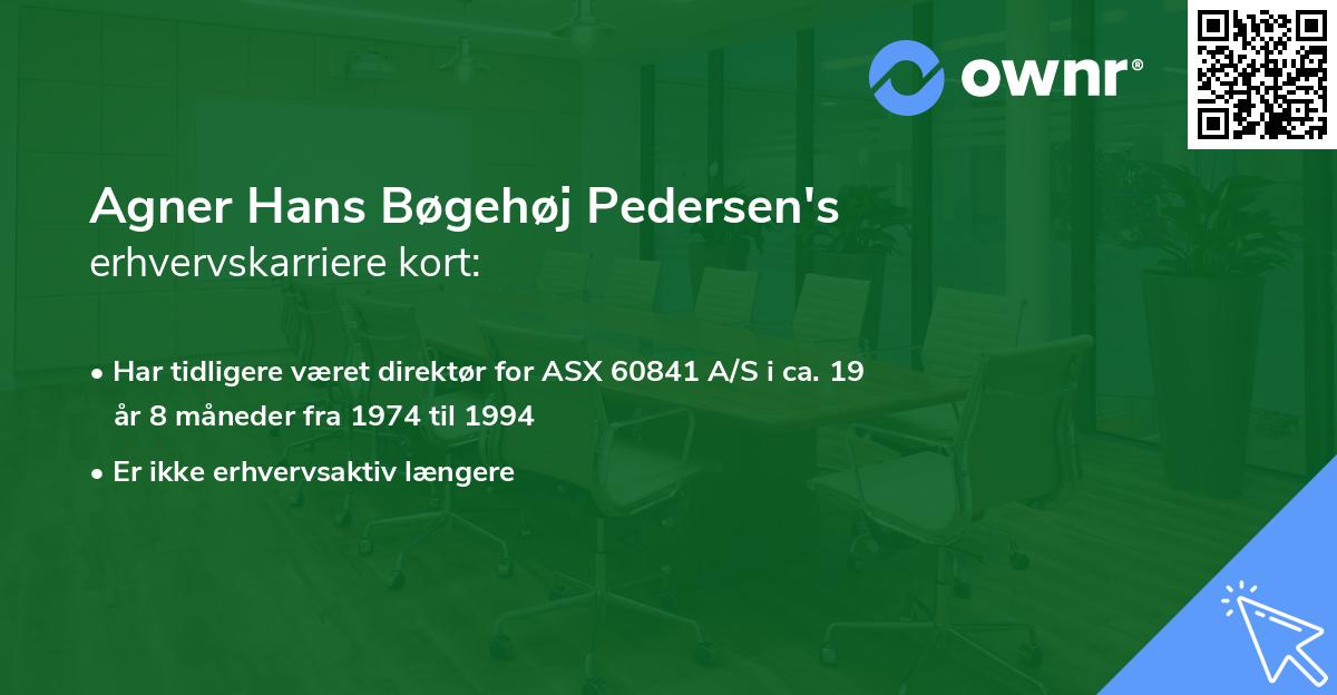 Agner Hans Bøgehøj Pedersen's erhvervskarriere kort