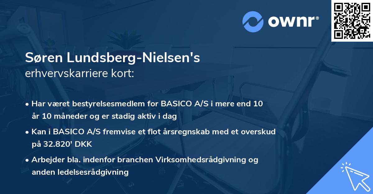 Søren Lundsberg-Nielsen's erhvervskarriere kort
