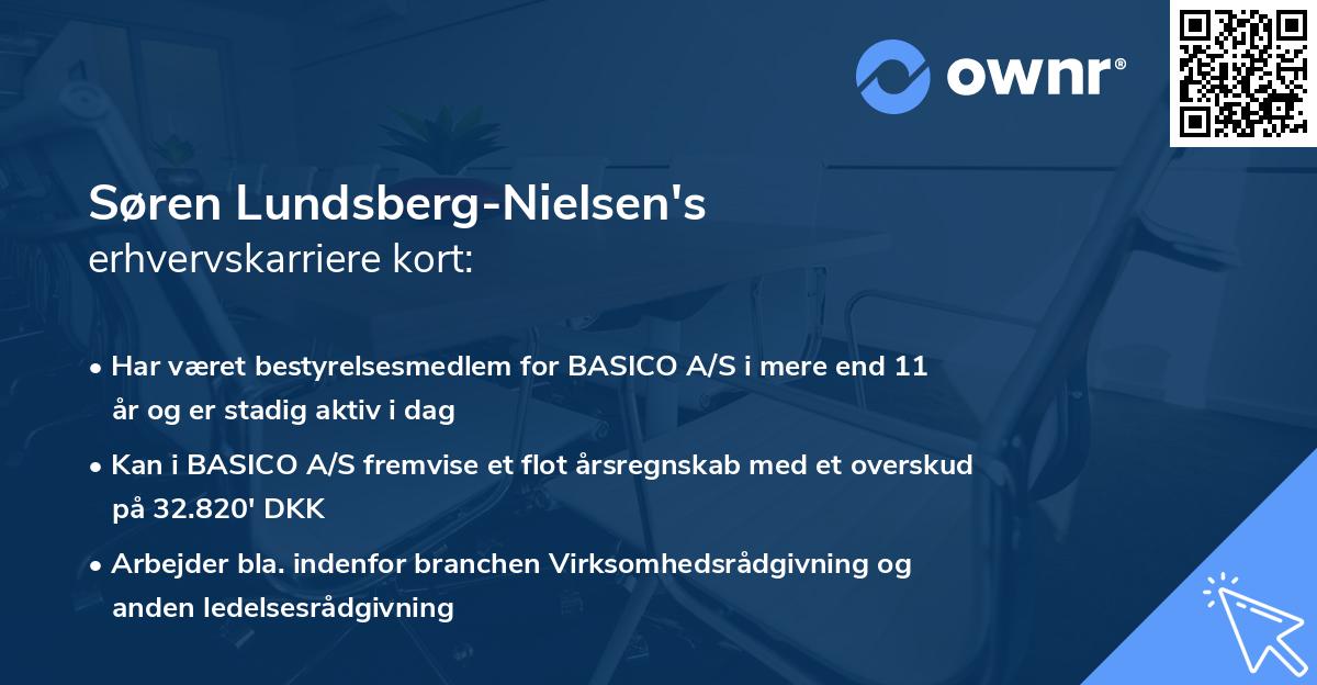 Søren Lundsberg-Nielsen's erhvervskarriere kort