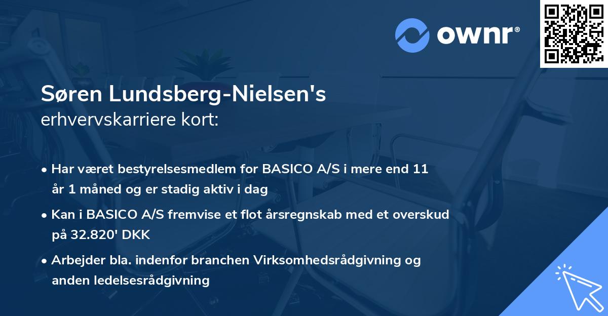 Søren Lundsberg-Nielsen's erhvervskarriere kort