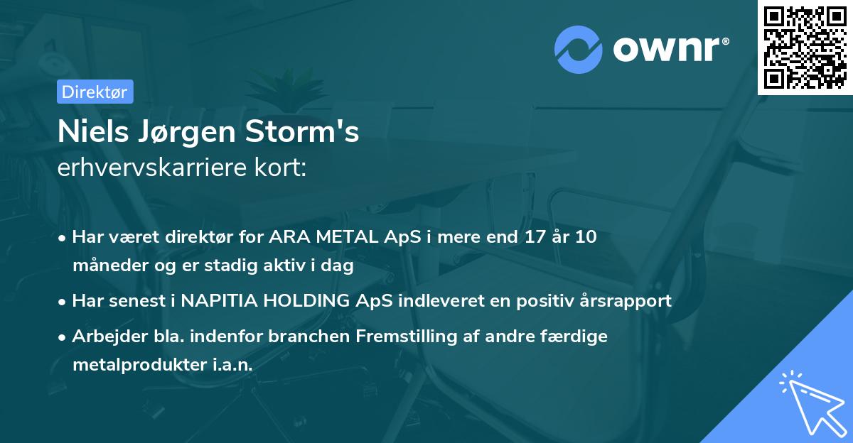 Niels Jørgen Storm's erhvervskarriere kort