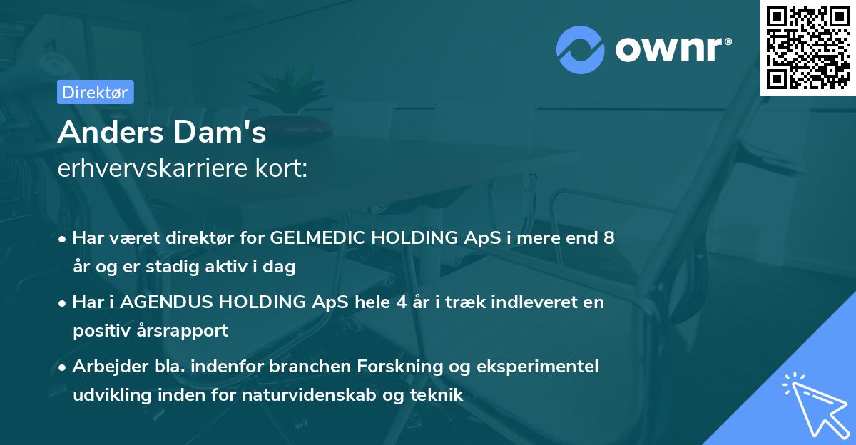 Anders Dam's erhvervskarriere kort