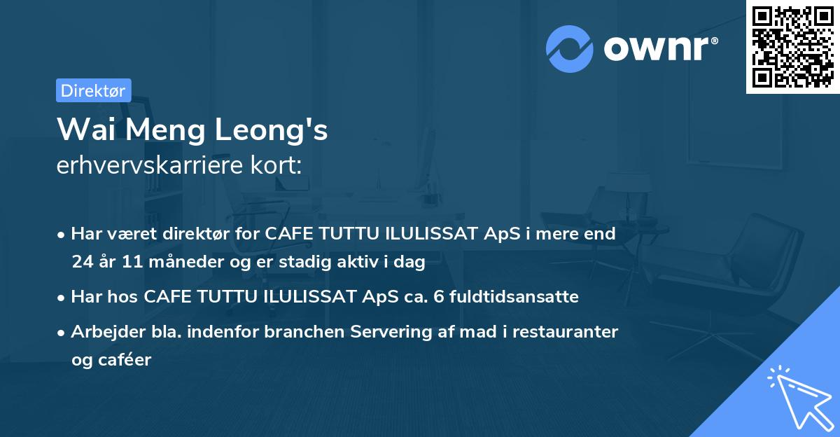 Wai Meng Leong's erhvervskarriere kort