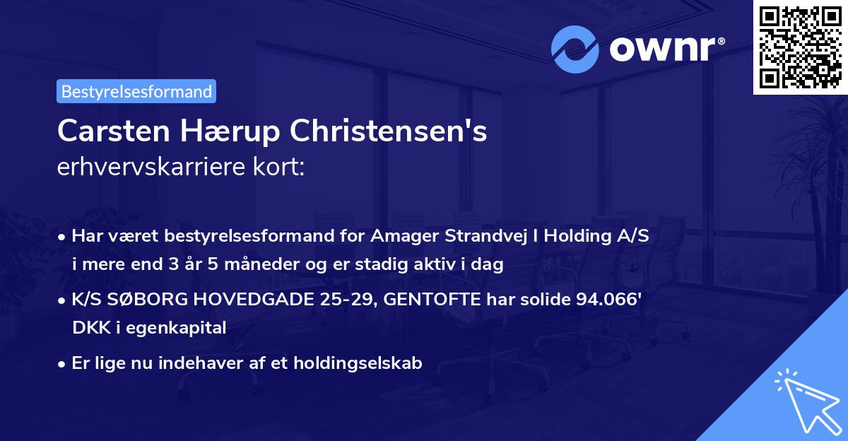 Carsten Hærup Christensen's erhvervskarriere kort