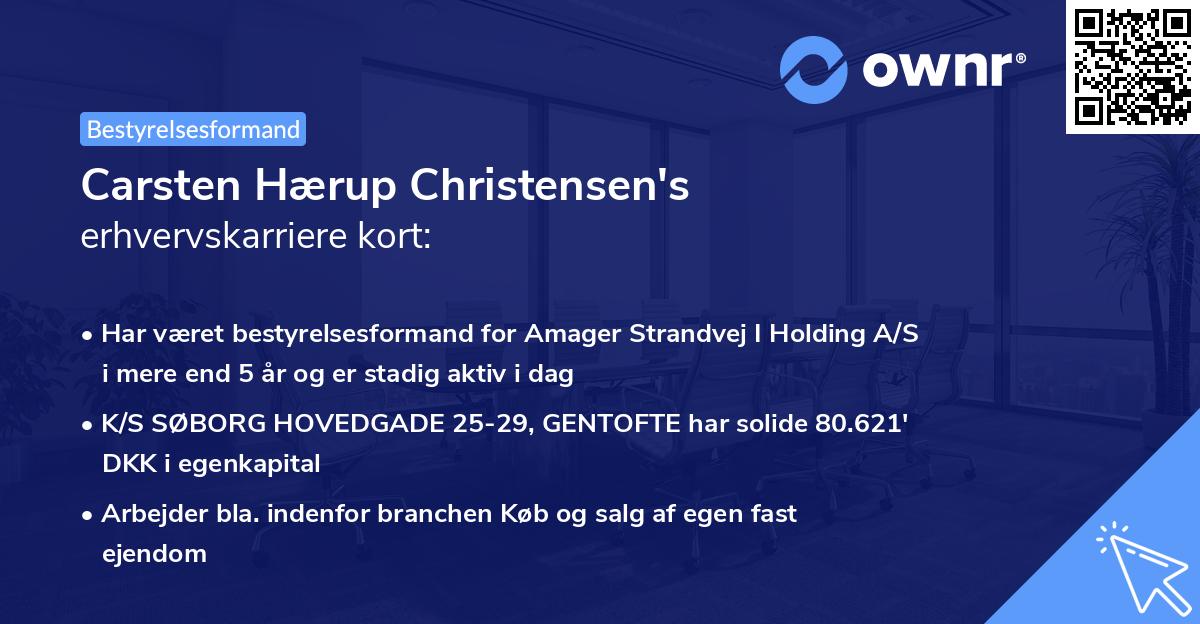 Carsten Hærup Christensen's erhvervskarriere kort