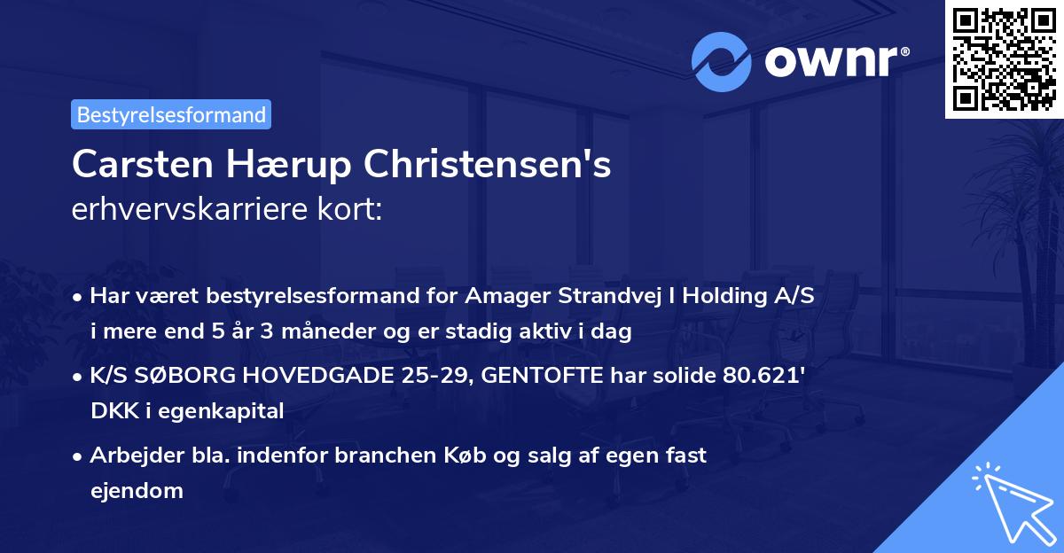 Carsten Hærup Christensen's erhvervskarriere kort
