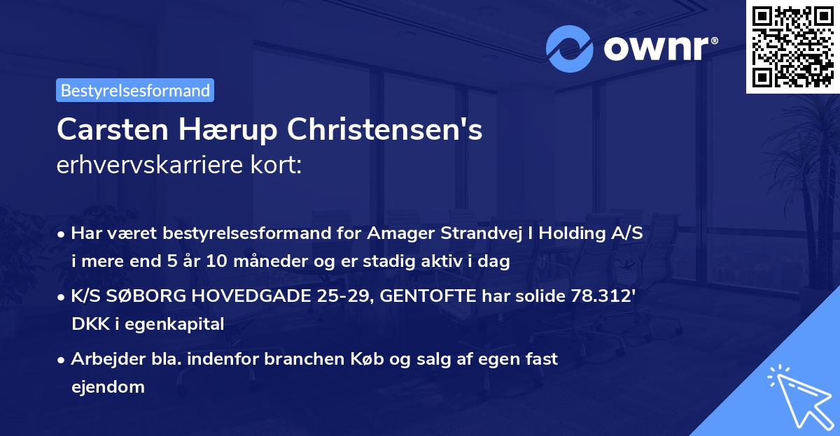 Carsten Hærup Christensen's erhvervskarriere kort