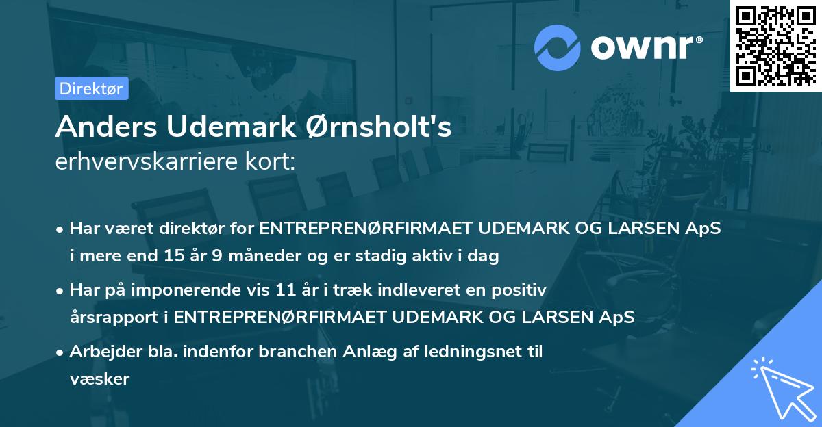 Anders Udemark Ørnsholt's erhvervskarriere kort