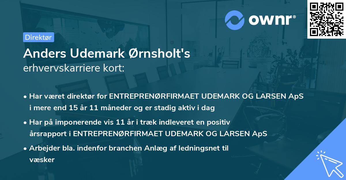 Anders Udemark Ørnsholt's erhvervskarriere kort