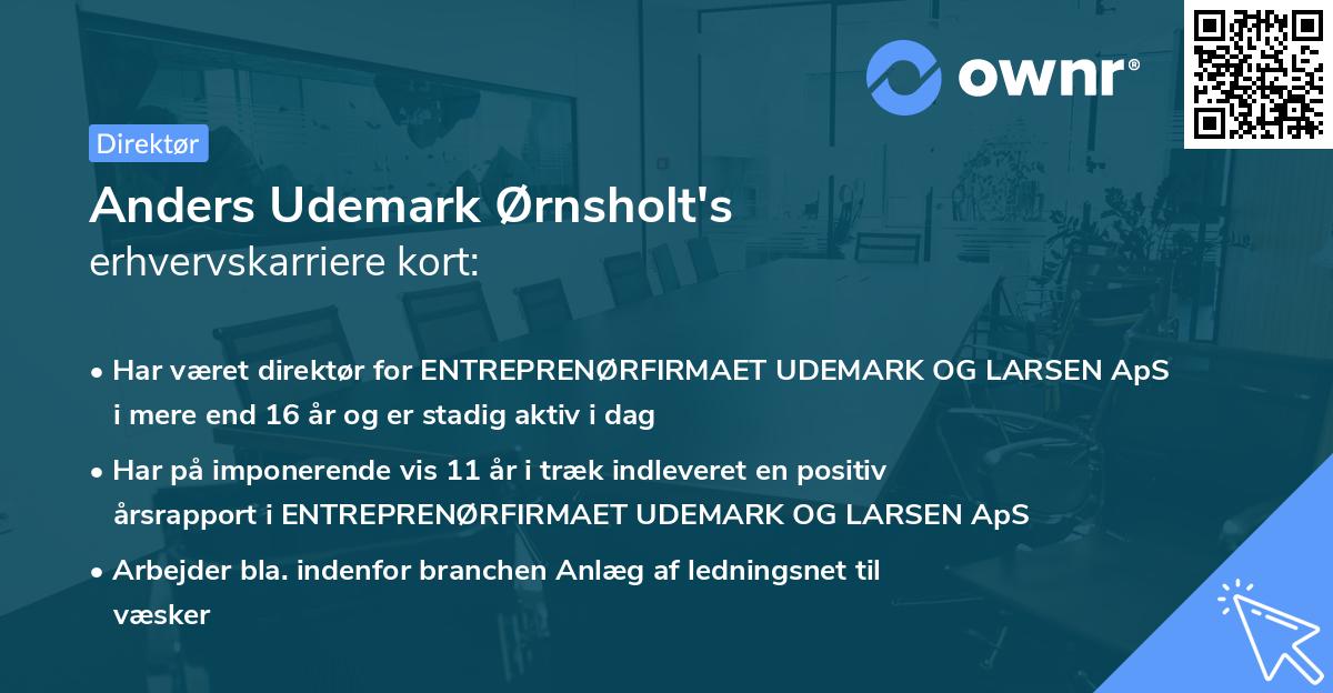 Anders Udemark Ørnsholt's erhvervskarriere kort