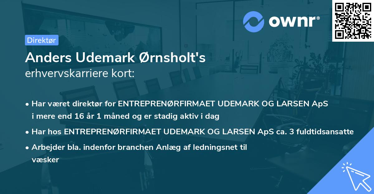 Anders Udemark Ørnsholt's erhvervskarriere kort