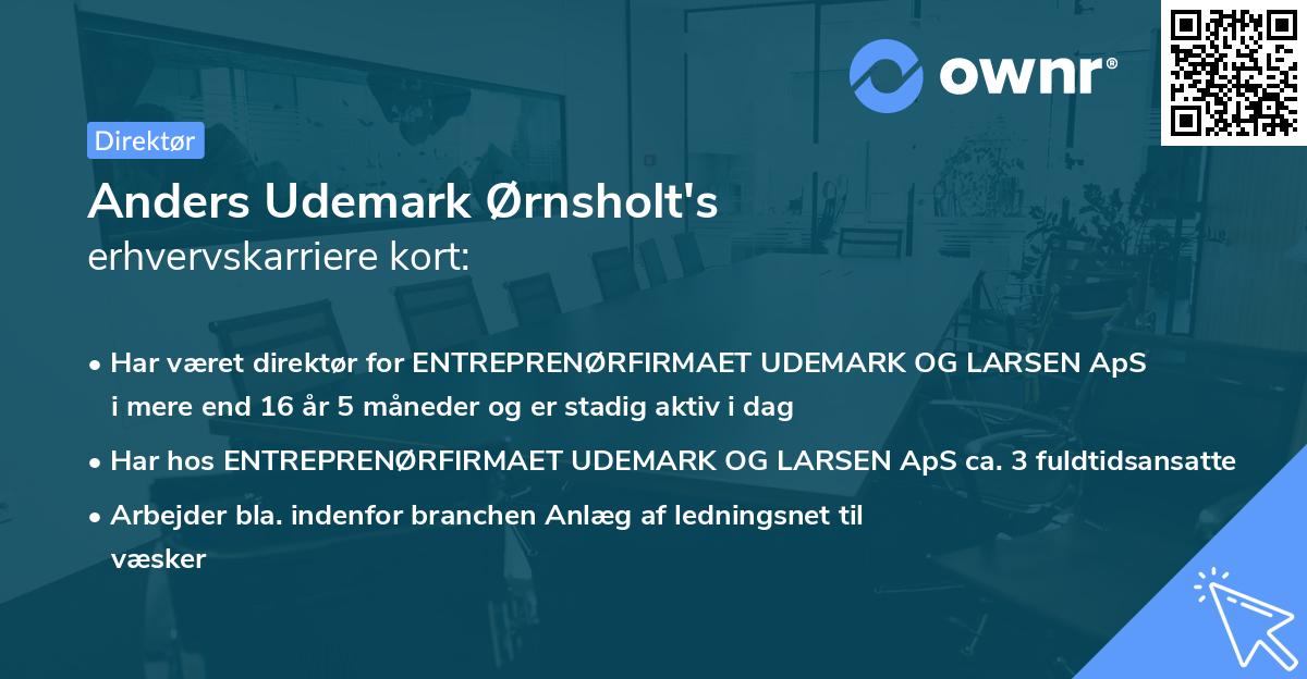 Anders Udemark Ørnsholt's erhvervskarriere kort